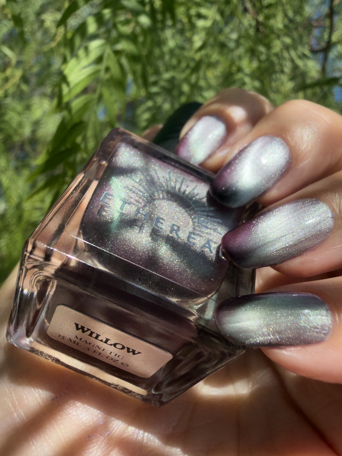 Willow